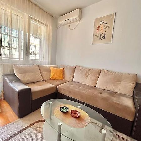 Cozy, Charming One Bedroom Apt 波德戈里察 外观 照片