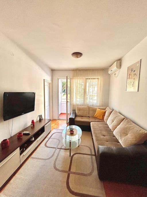 Cozy, Charming One Bedroom Apt 波德戈里察 外观 照片